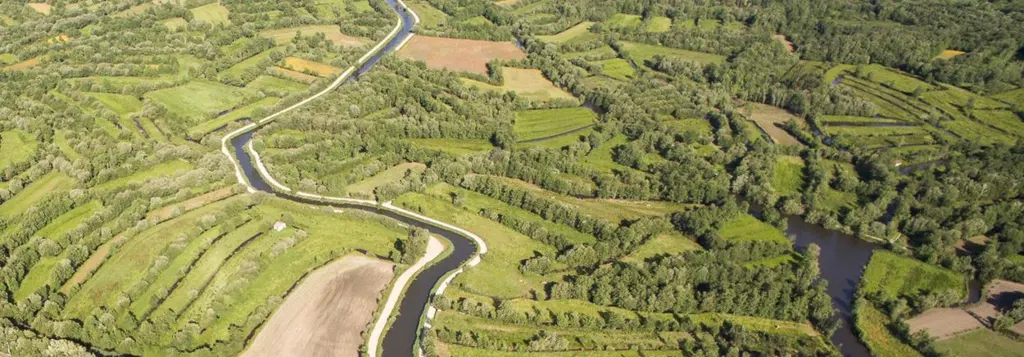 GAL Rural Região de Aveiro - Macroestratégia