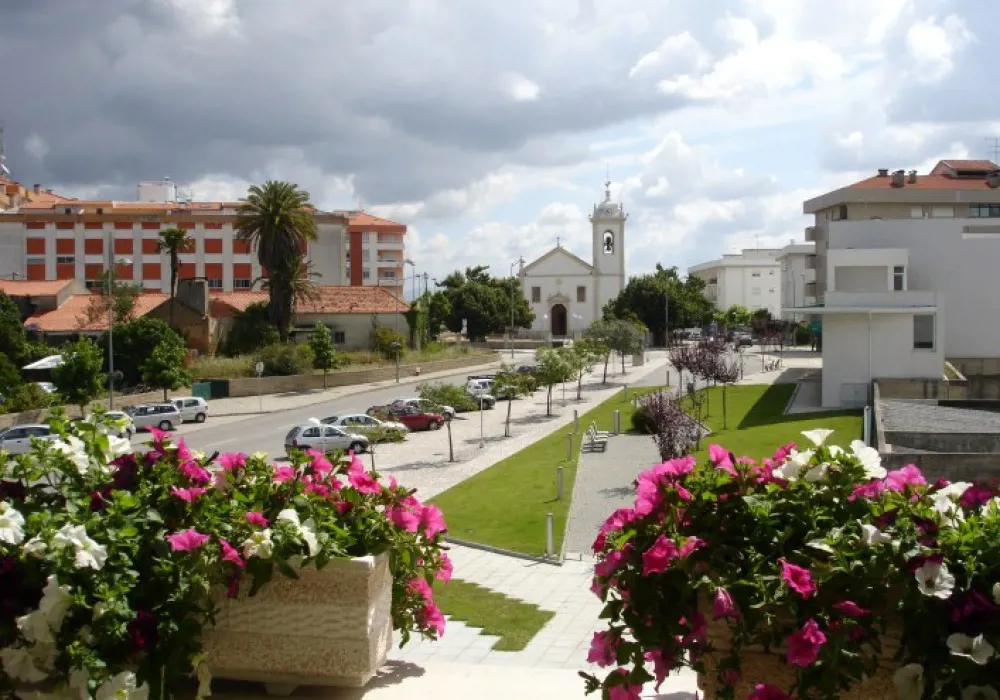 Oliveira do Bairro
