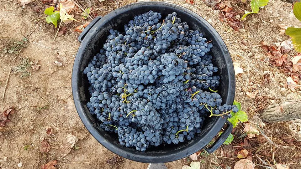 Quinta do Cavaleiro
