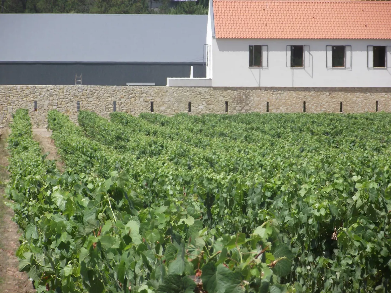 Quinta dos Abibes