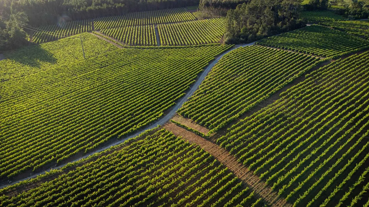 Quinta da Lagoa Velha