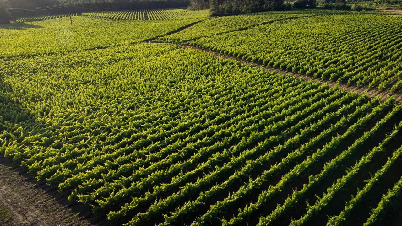 Quinta da Lagoa Velha
