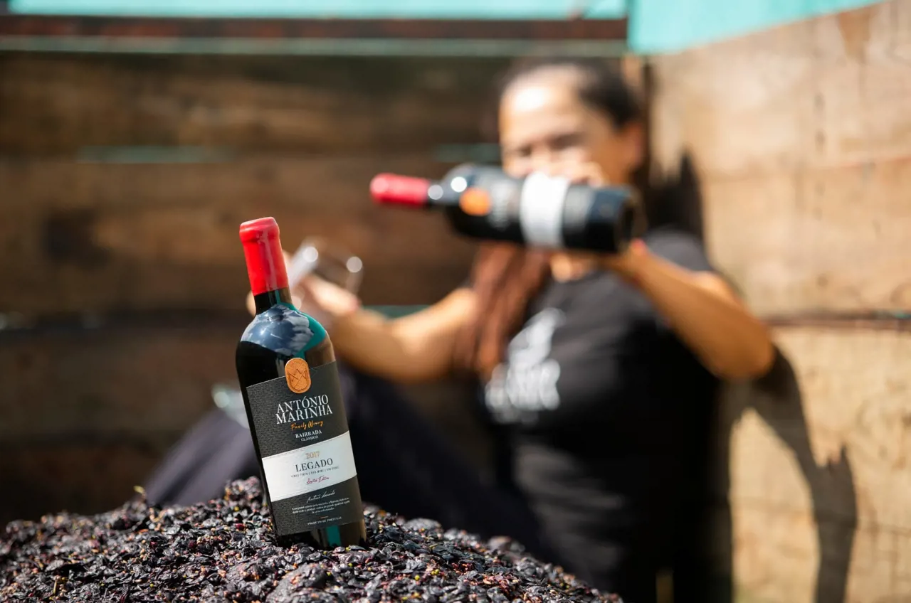 Vinhos António Marinha