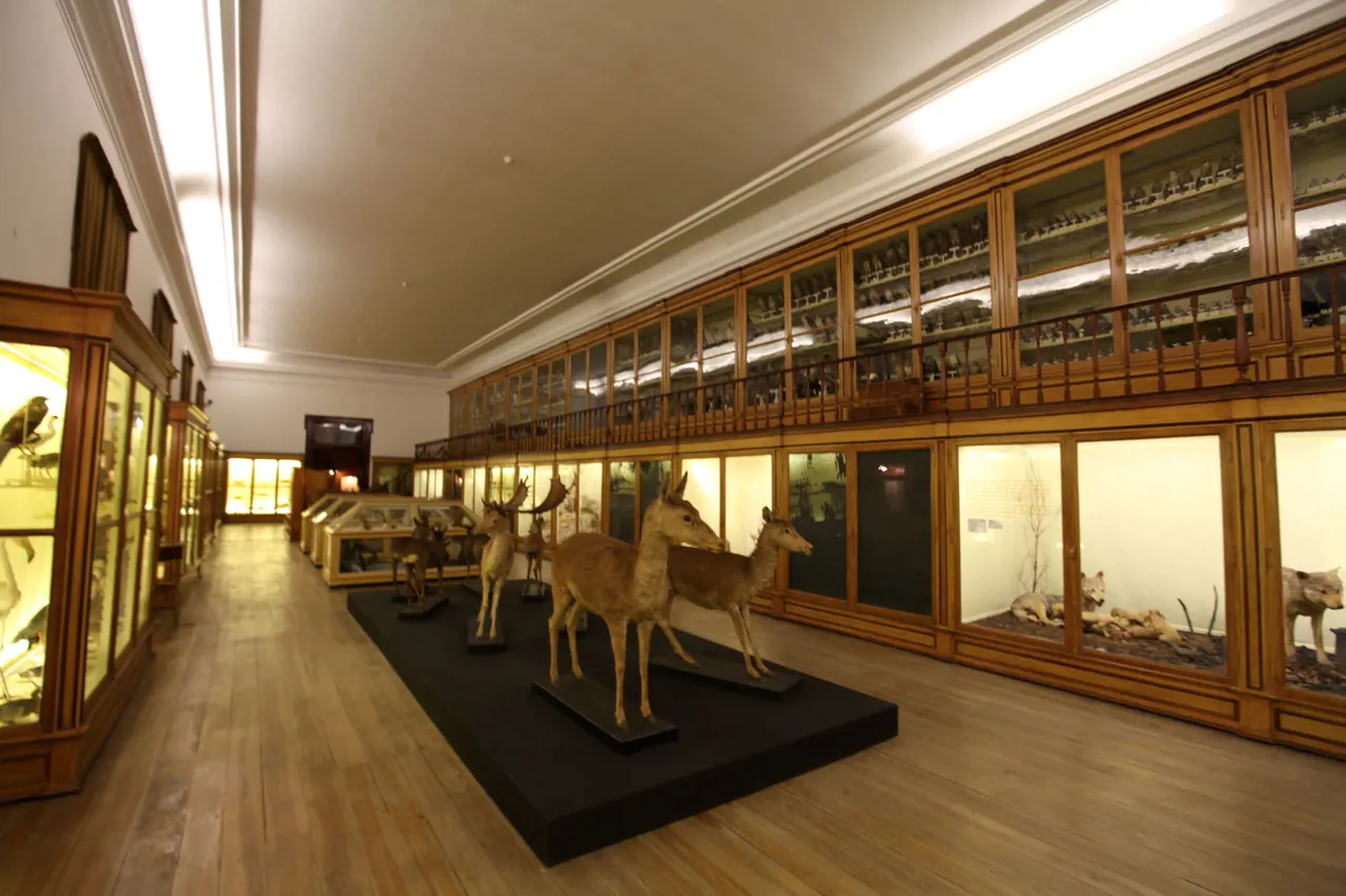 Museu Ciência - Science Museum
