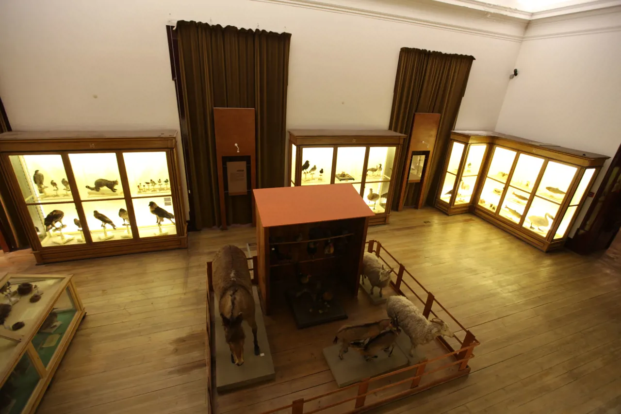 Museu Ciência - Science Museum