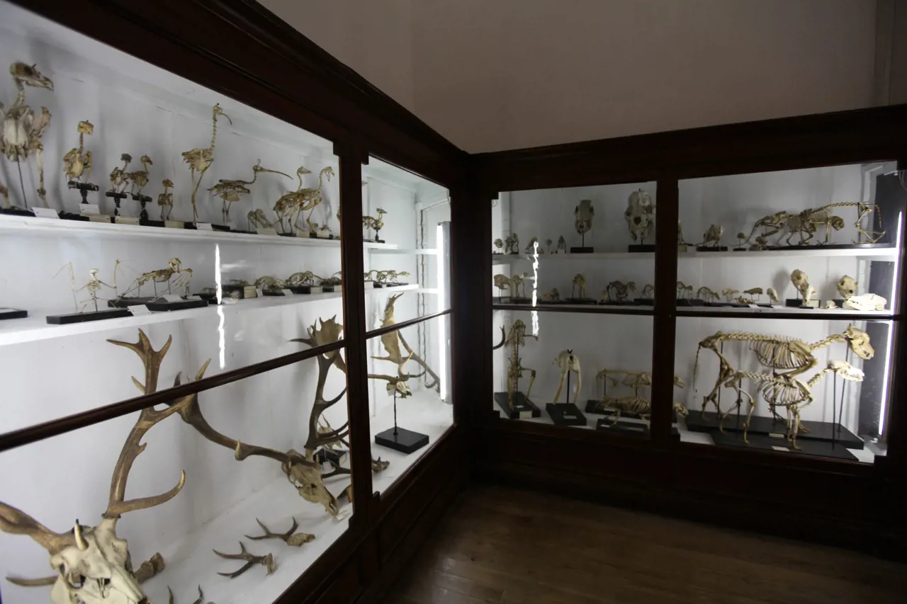 Museu Ciência - Science Museum