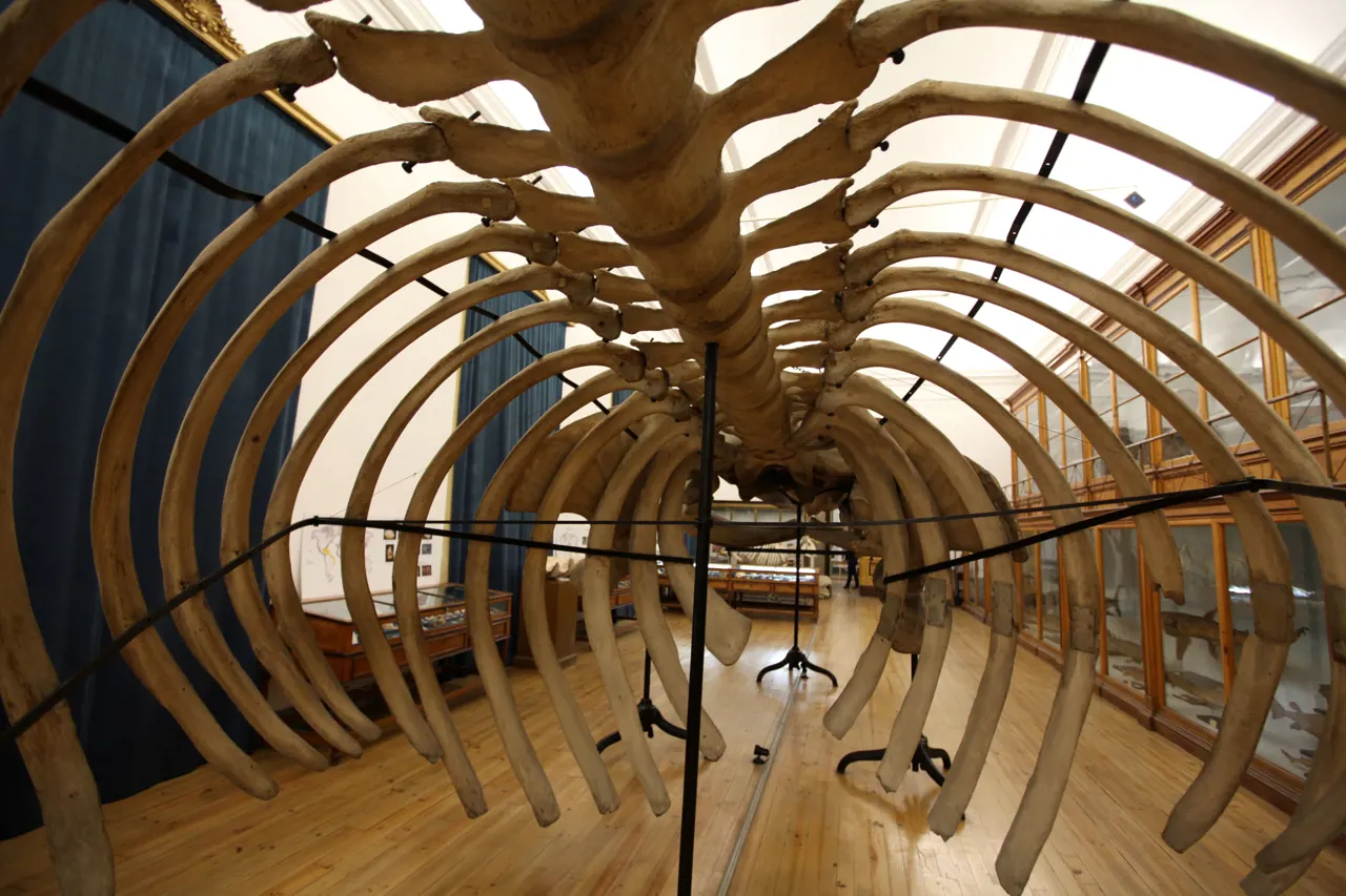 Museu Ciência - Science Museum