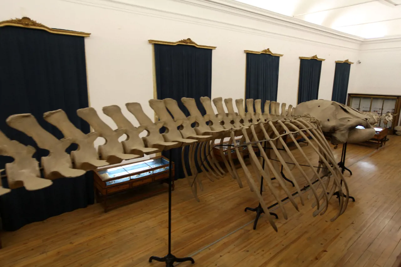 Museu Ciência - Science Museum