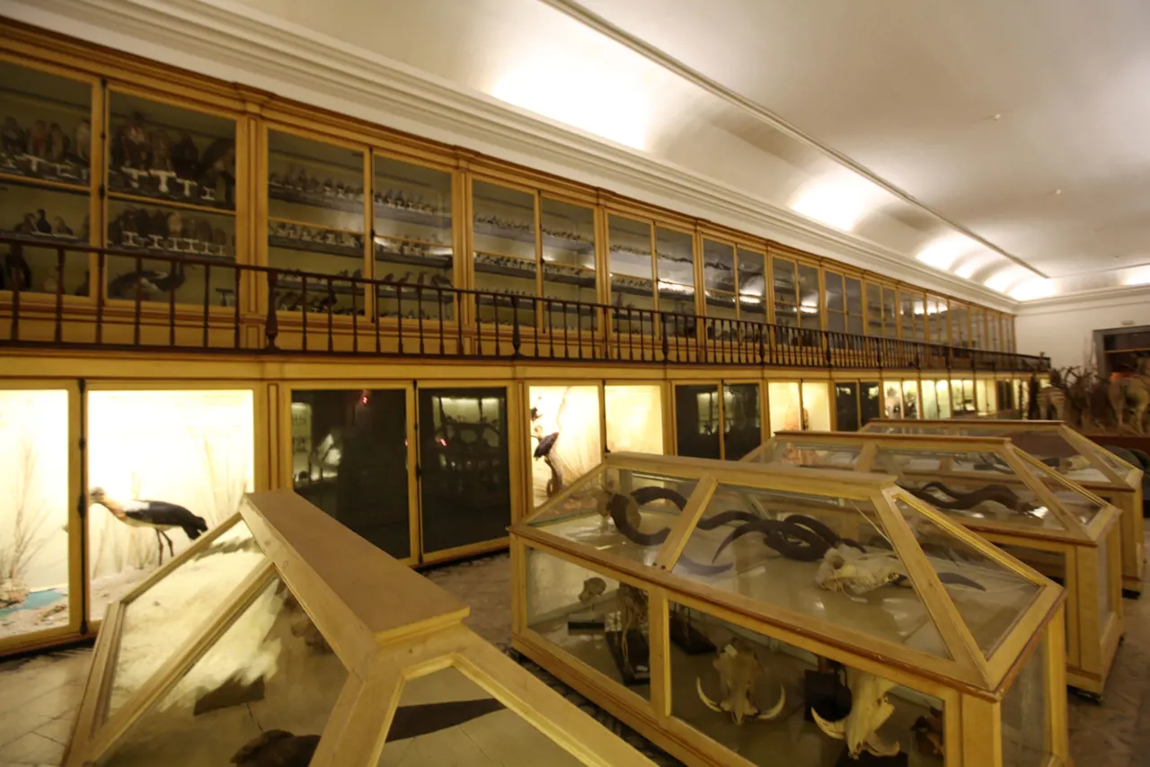 Museu Ciência - Science Museum