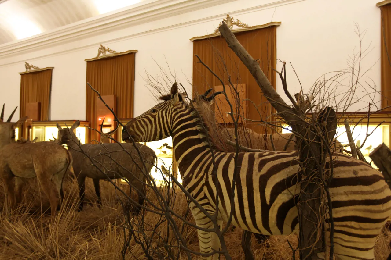 Museu Ciência - Science Museum