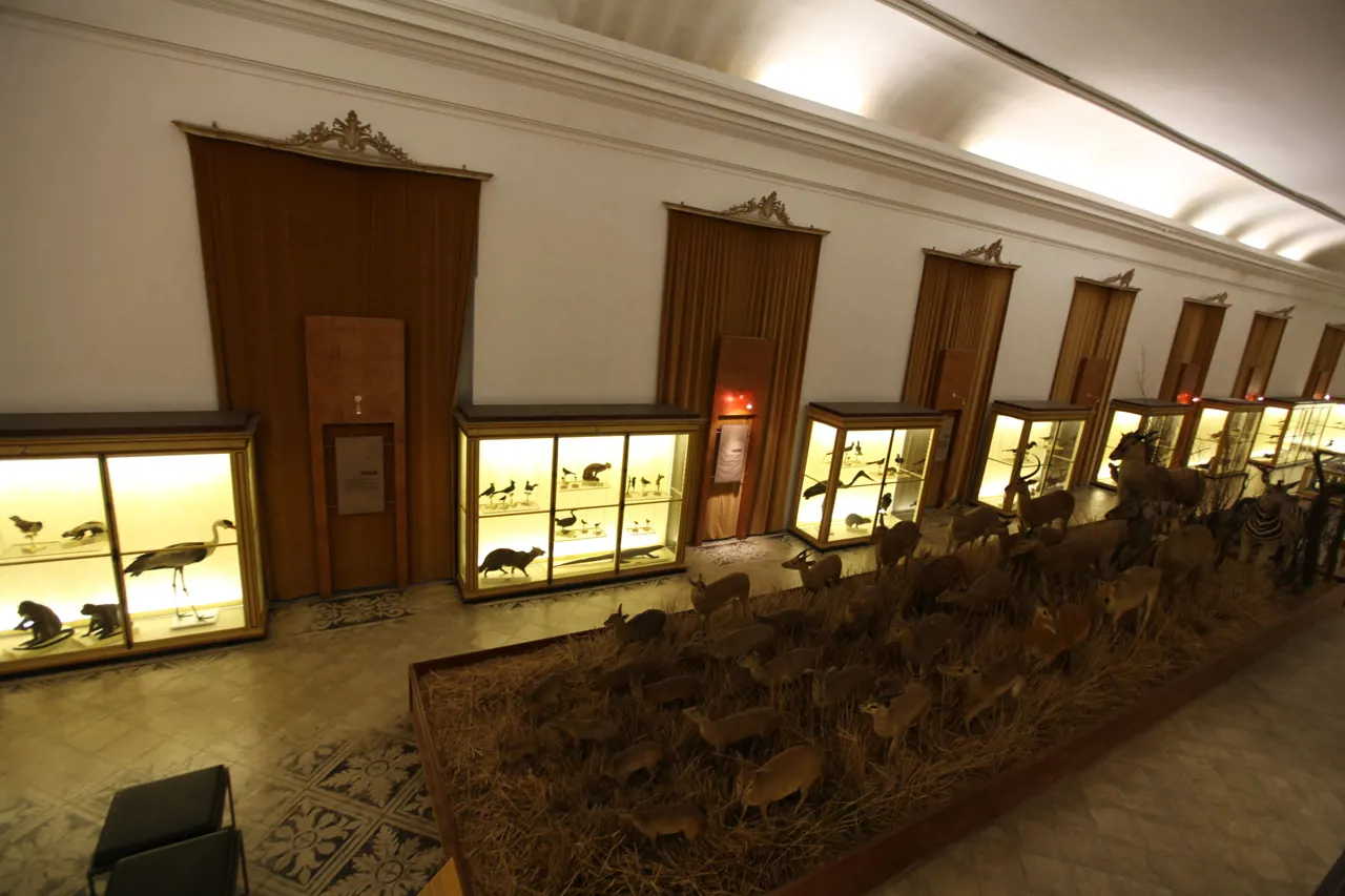 Museu Ciência - Science Museum