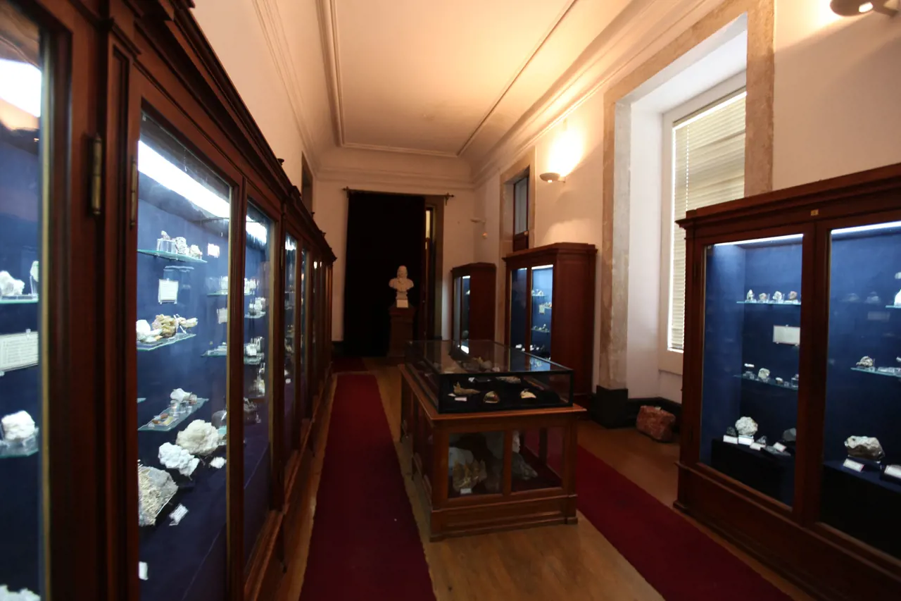 Museu Ciência - Science Museum