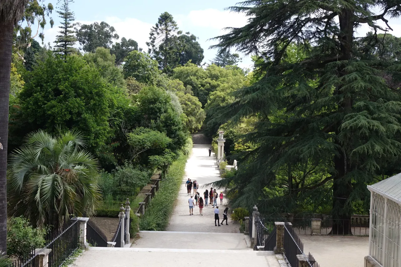 Botanical Garden of the University of Coimbra