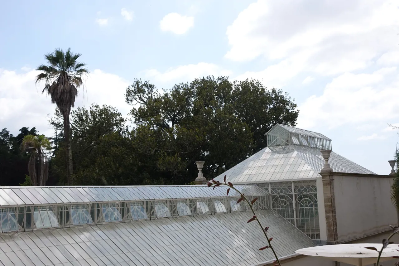 Botanical Garden of the University of Coimbra