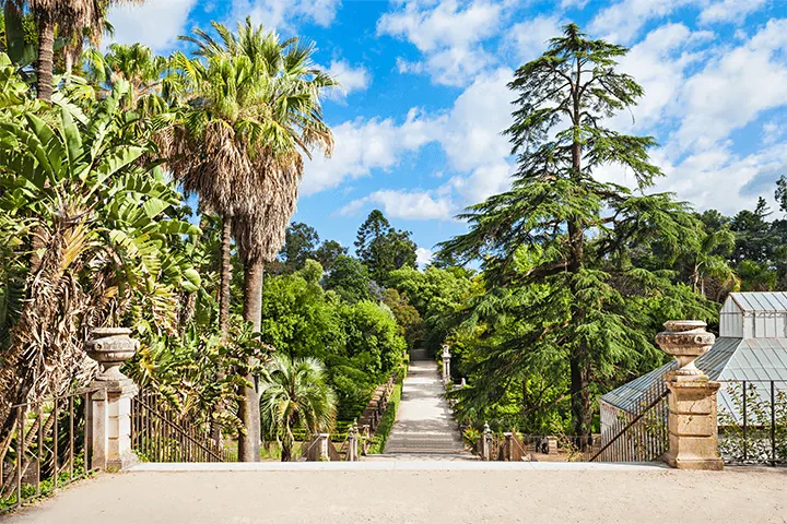 Botanical Garden of the University of Coimbra