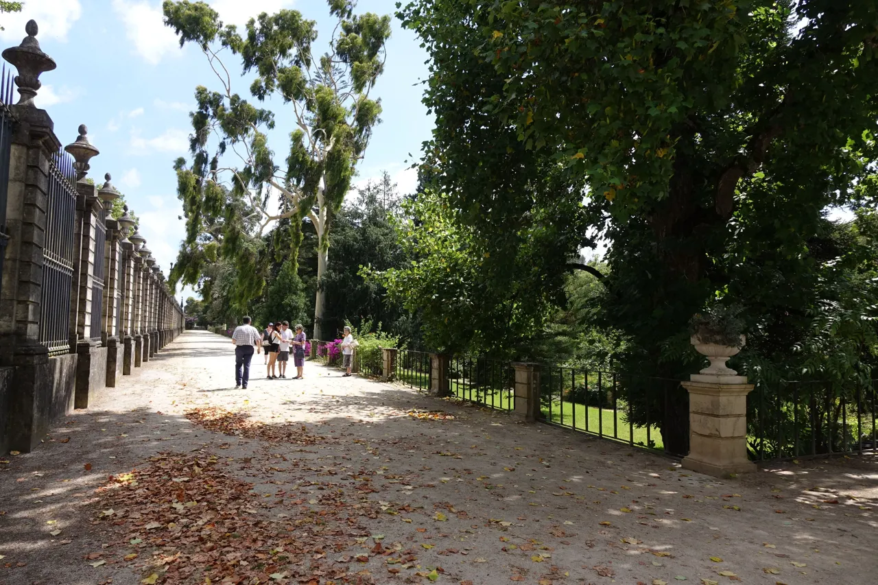 Botanical Garden of the University of Coimbra