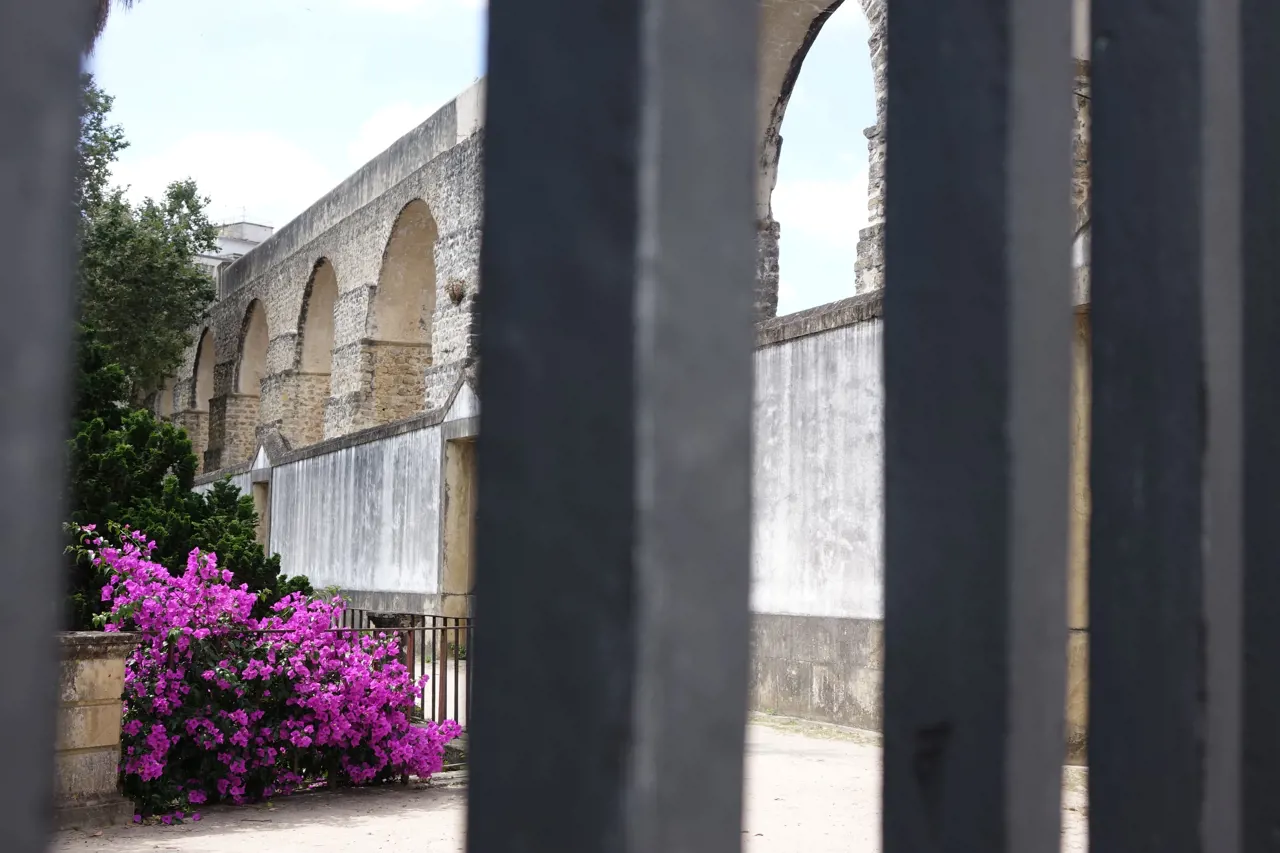 Botanical Garden of the University of Coimbra