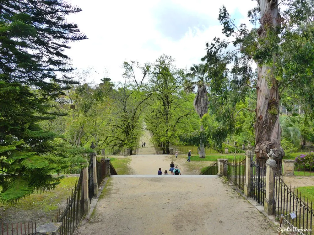Botanical Garden of the University of Coimbra