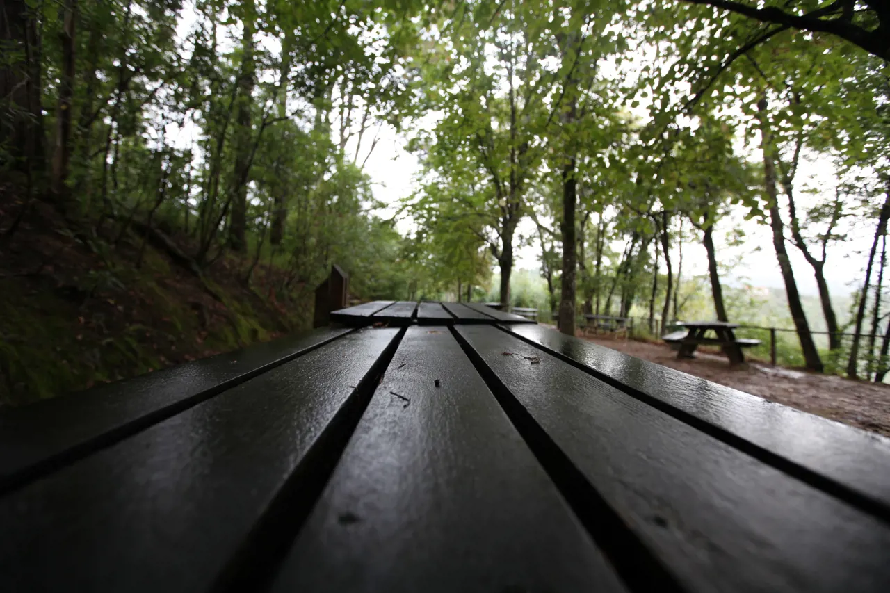 Bosque Nacional de Vale de Canas