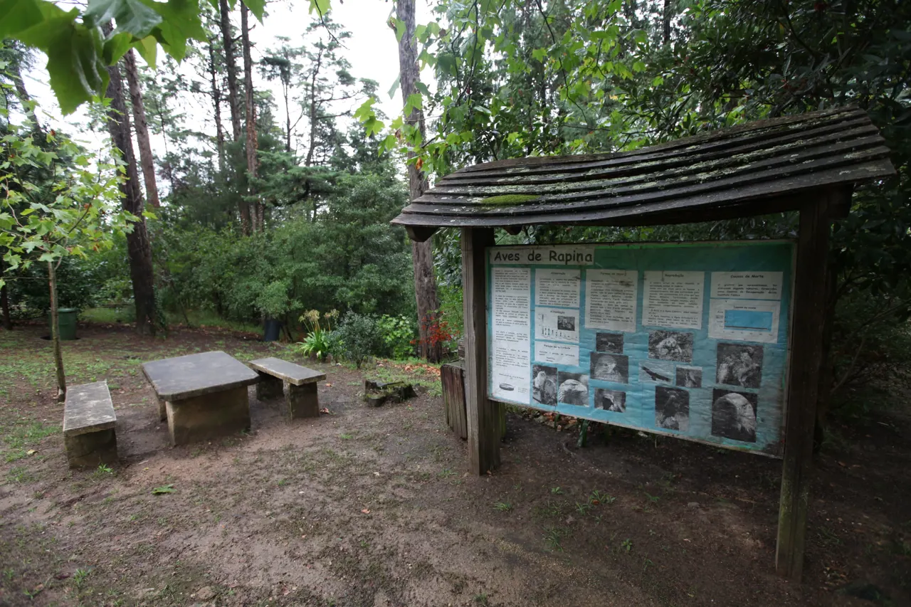 Bosque Nacional de Vale de Canas