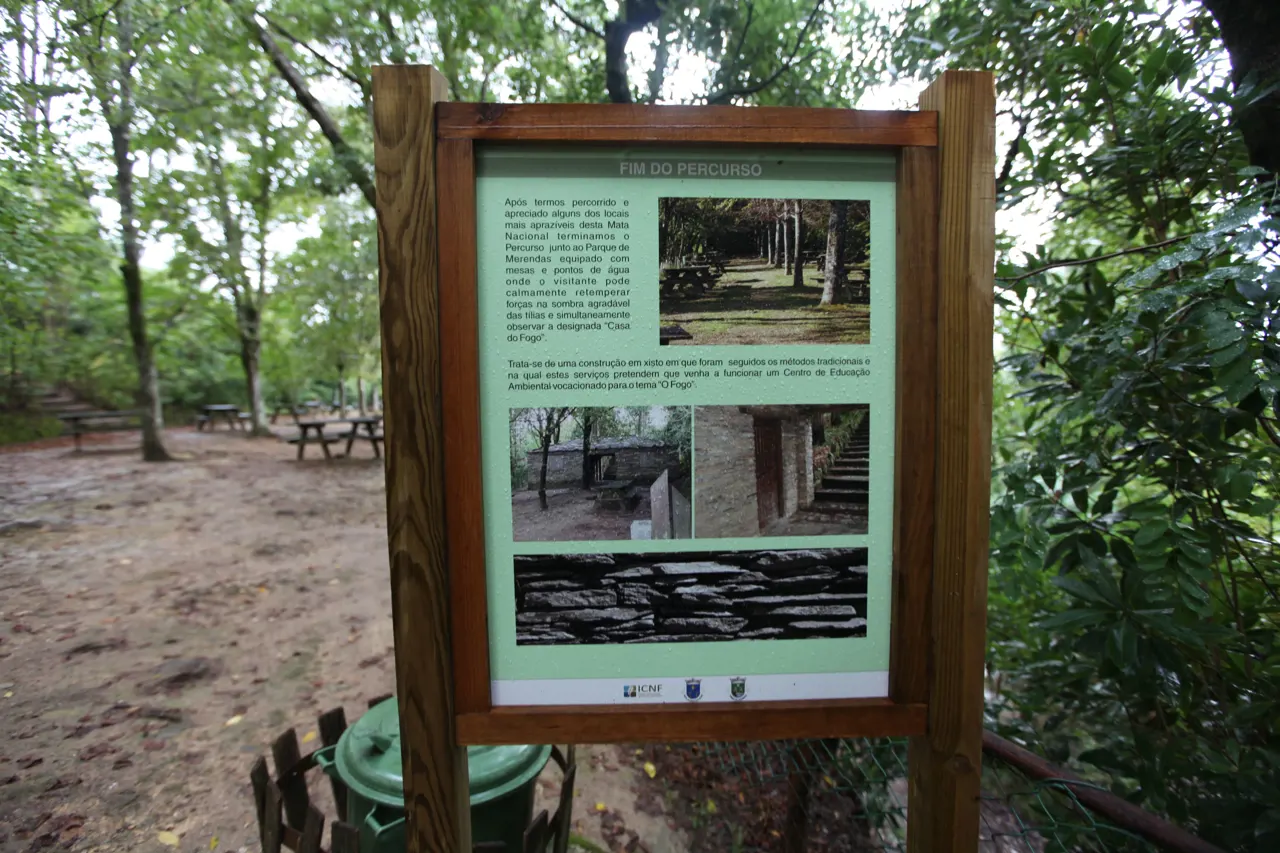Bosque Nacional de Vale de Canas