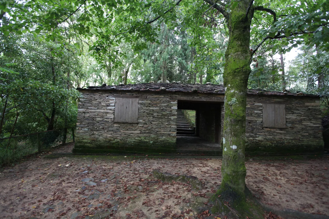 Bosque Nacional de Vale de Canas
