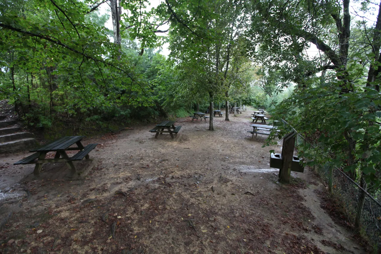 Bosque Nacional de Vale de Canas