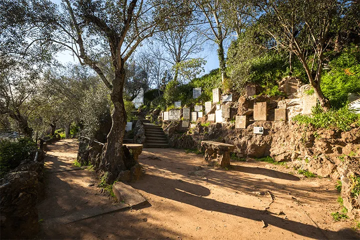 Roca de Saudade