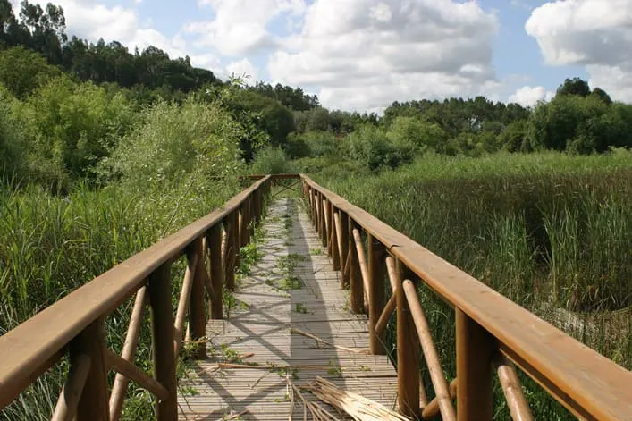 Reserva Natural de Paúl de Arzila