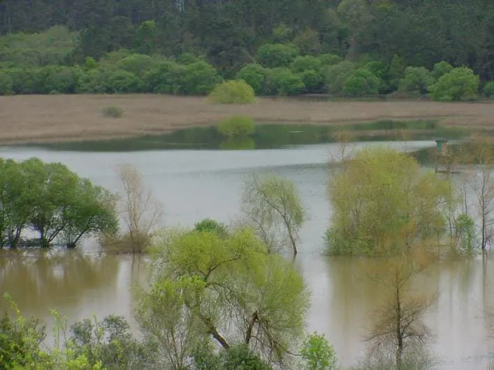 Reserva Natural de Paúl de Arzila
