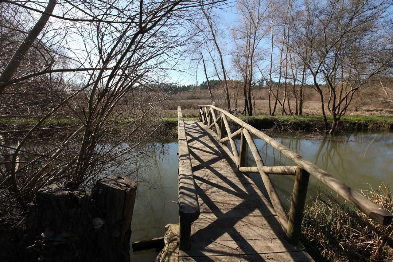 Reserva Natural de Paúl de Arzila