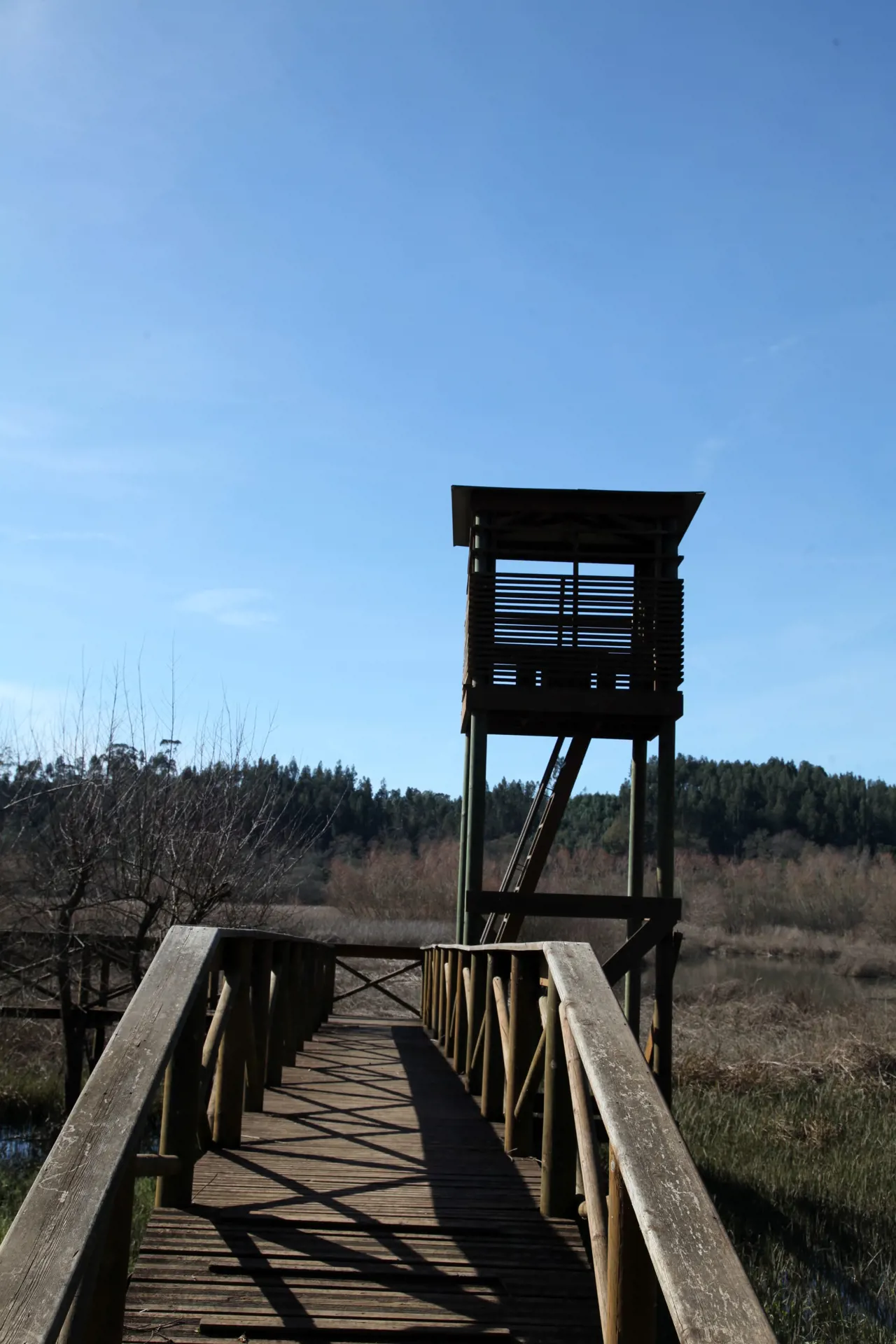 Reserva Natural de Paúl de Arzila