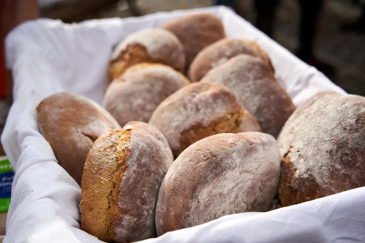 Vagos Gastronomy