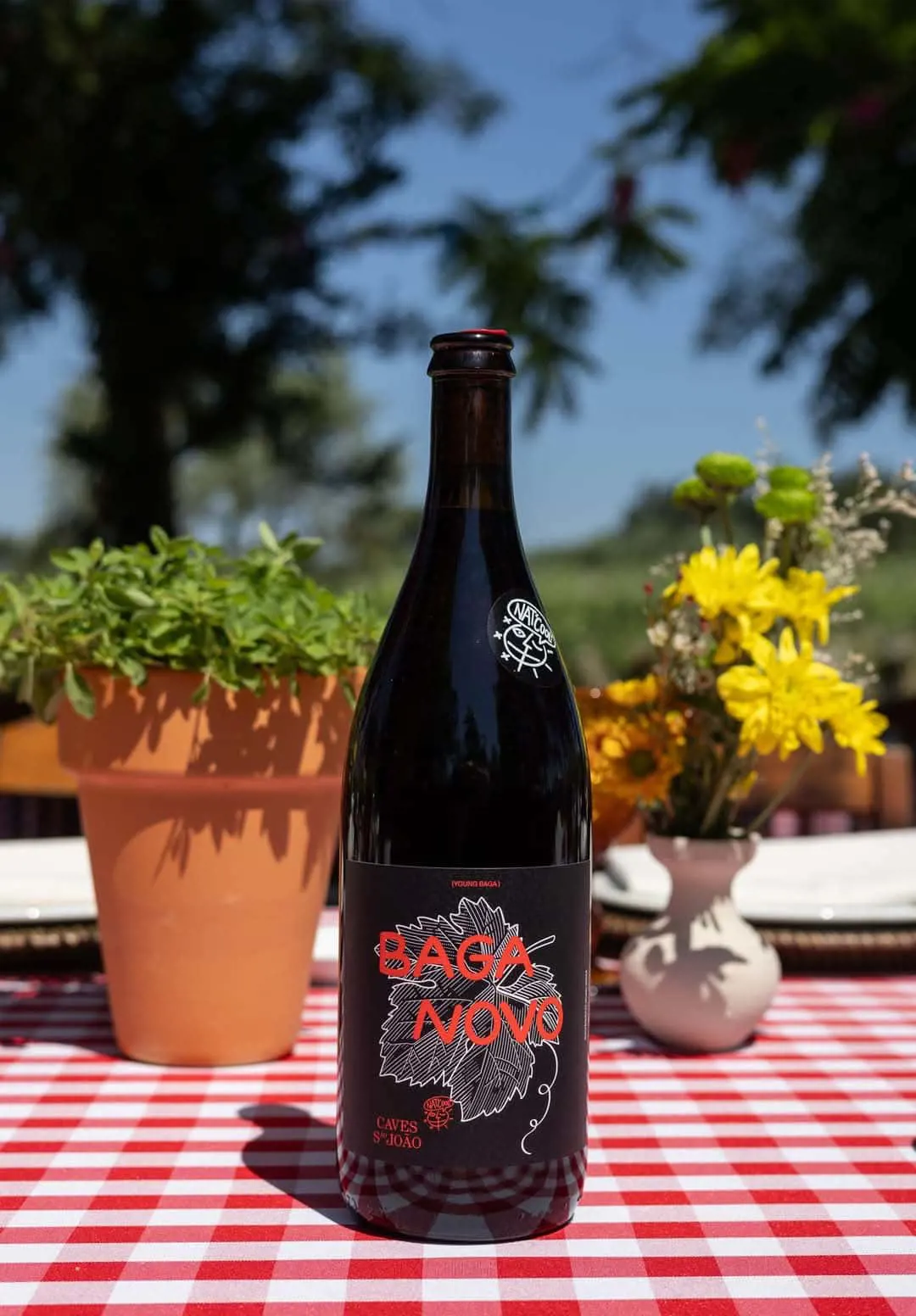 Enogastronomic event at  Caves São João