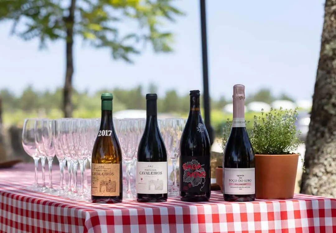 Enogastronomic event at  Caves São João
