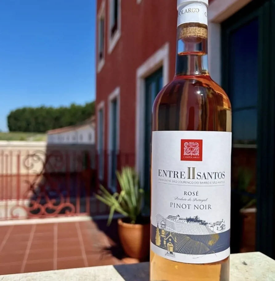 Cata de vinos Entre II Santos - Adega Campolargo
