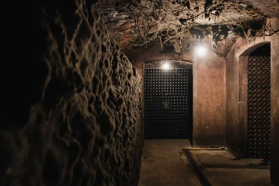 Guided visit to Caves São Domingos