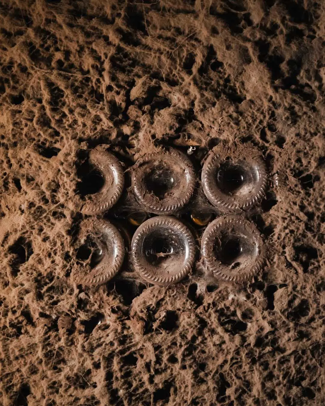 Guided visit to Caves São Domingos