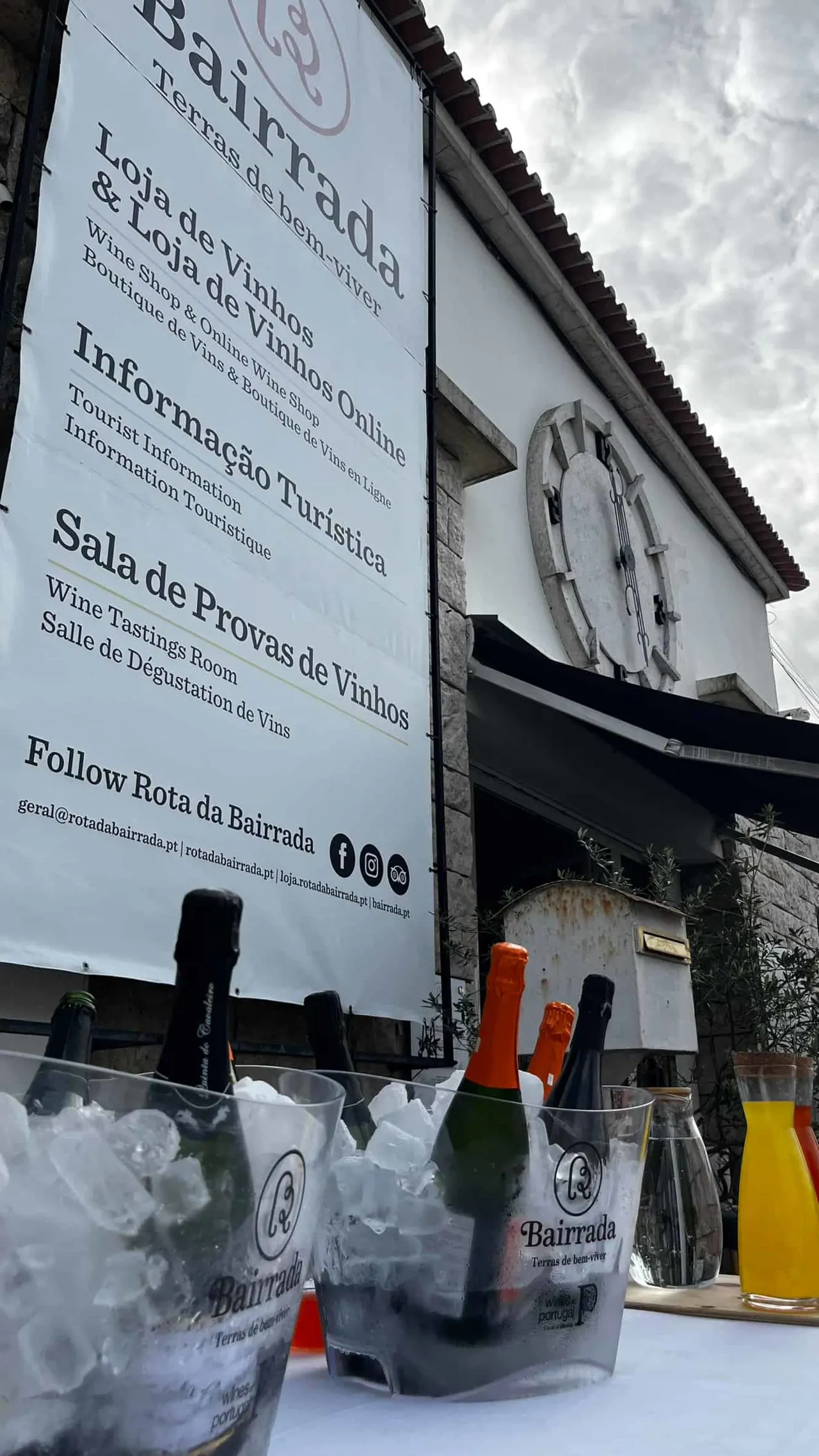 Guided tour of Bairrada Space of Curia with Amor da Curia tasting and sparkling wine flute