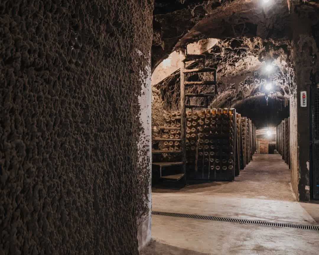 Journey through Bairrada wine district by Caves São Domingos