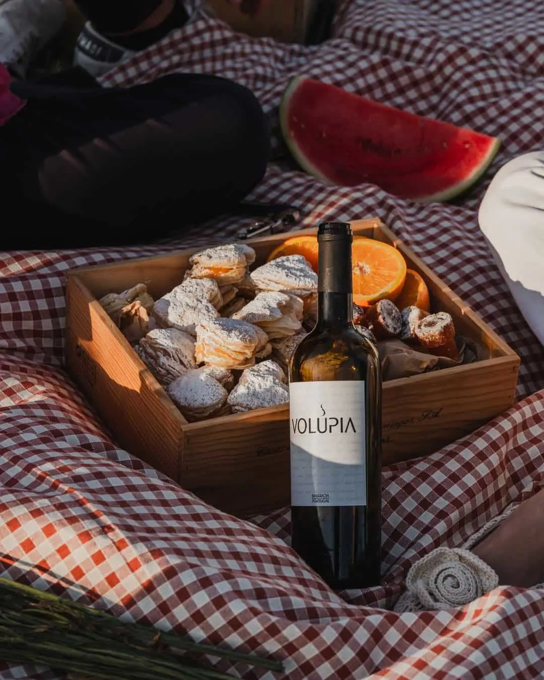 Journey through Bairrada wine district by Caves São Domingos