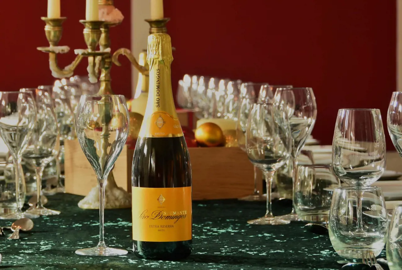 Guided visit and Bairrada experience at Caves São Domingos