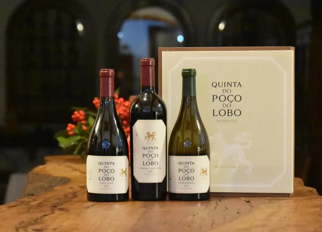 Vinos con historia en Caves São João
