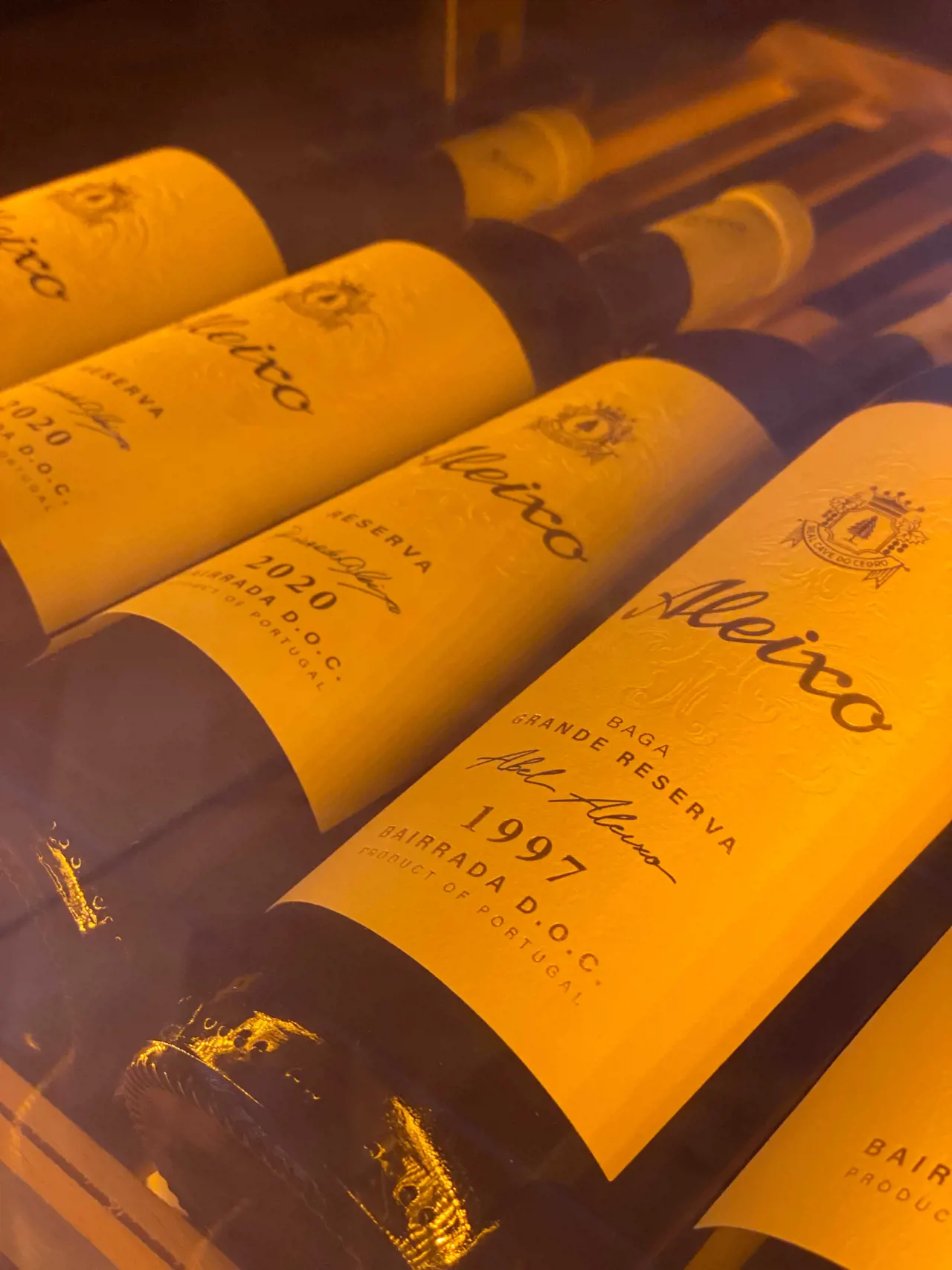 Guided visit to Real Cave do Cedro with a wine tasting of 2 wines