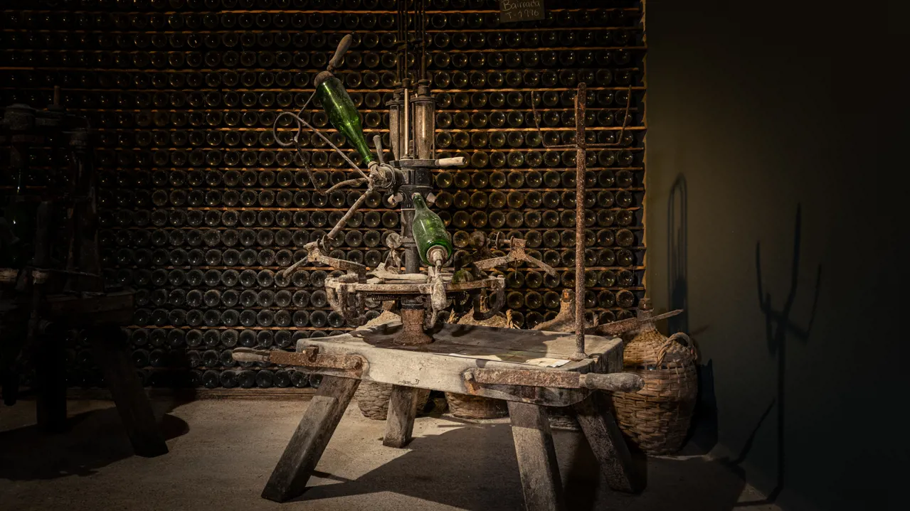 Guided visit to Real Cave do Cedro with a wine tasting of 4 wines