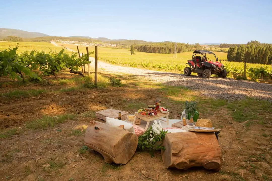 Snack Bairrada by Caves Messias