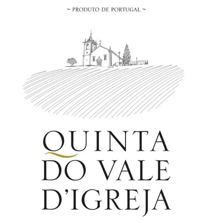 Visita a los viñedos Quinta do Vale de Igreja