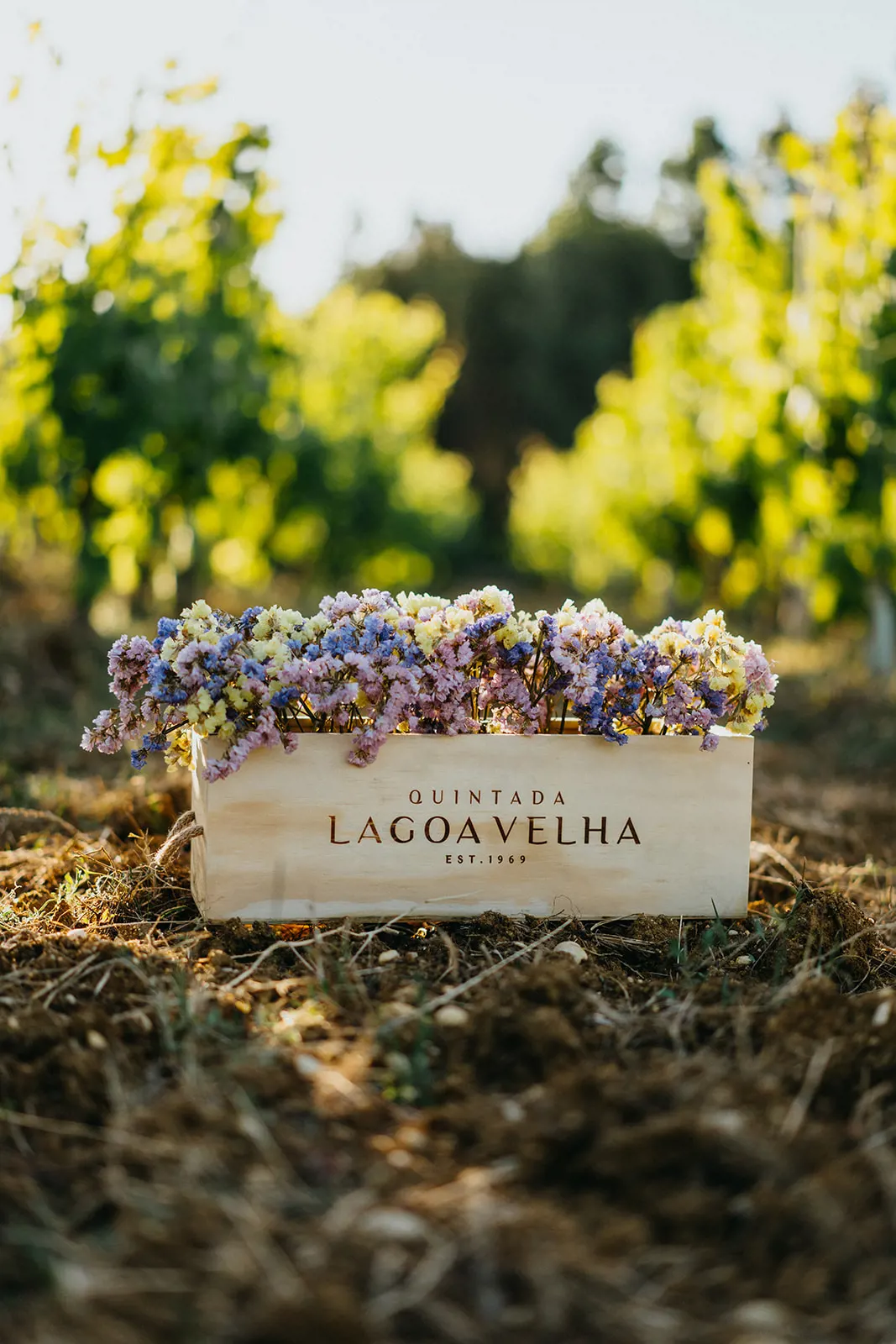 Piquenique Bairradino na Quinta da Lagoa Velha