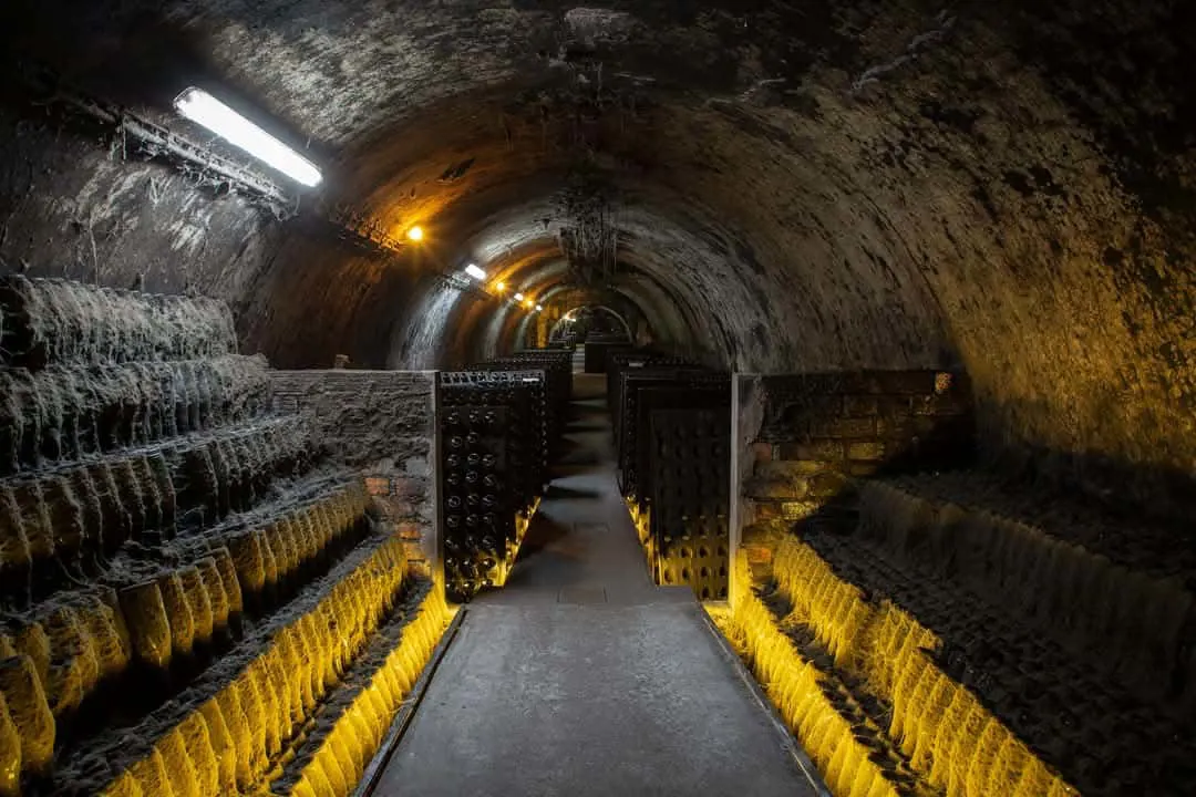 El arte de crear vino by Caves Messias