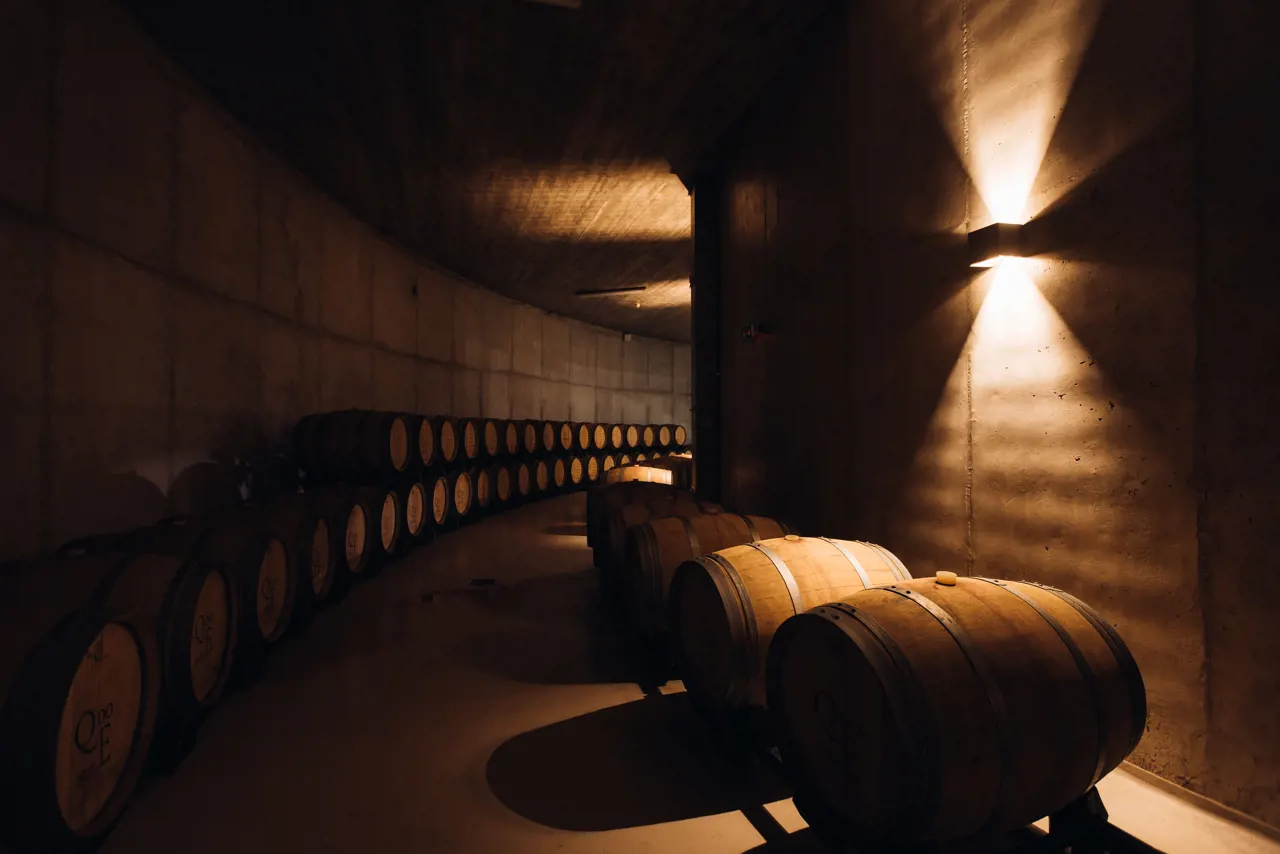 Tasting menus and winery visit – Quinta do Encontro